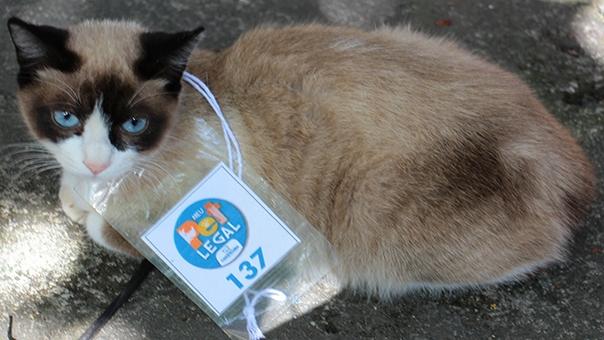 3345_101petlegal2.jpg