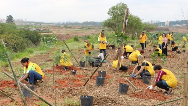 3835_plantiomeioambiente.jpg